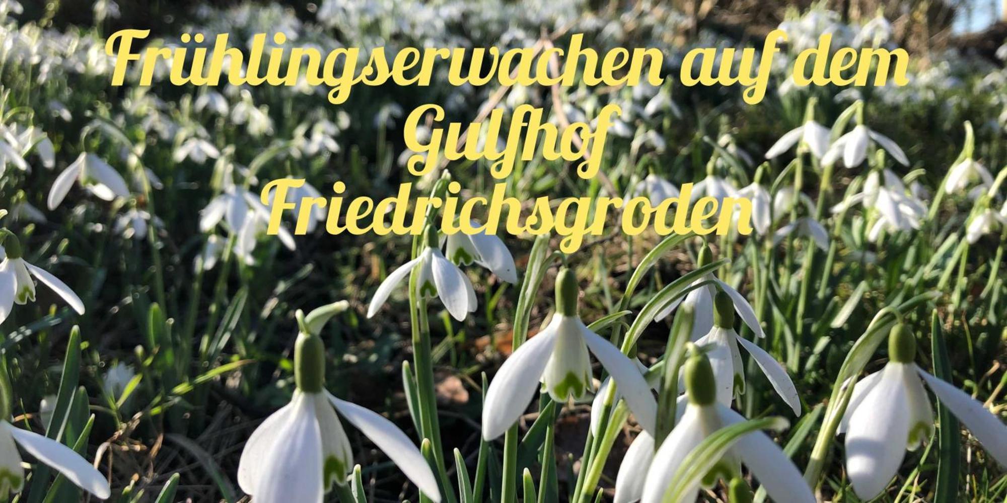 Gulfhof Friedrichsgroden Villa คาโรลิเนนซีล ภายนอก รูปภาพ